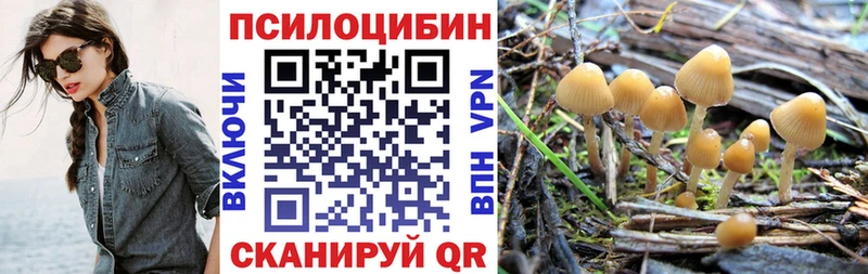купить наркотики сайты  кракен как зайти  Галлюциногенные грибы GOLDEN TEACHER  Нахабино 